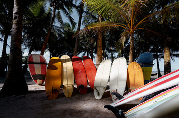 The set of surfboards in the tropical rental.