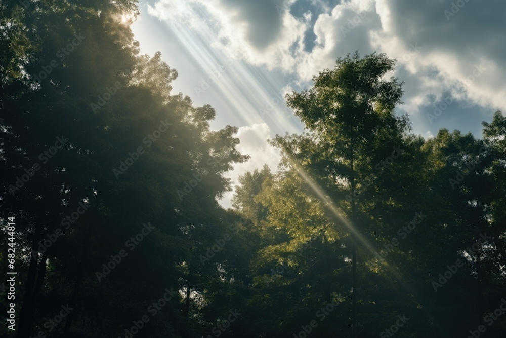 Poster a captivating image of sunlight breaking through the clouds and illuminating the trees. perfect for 