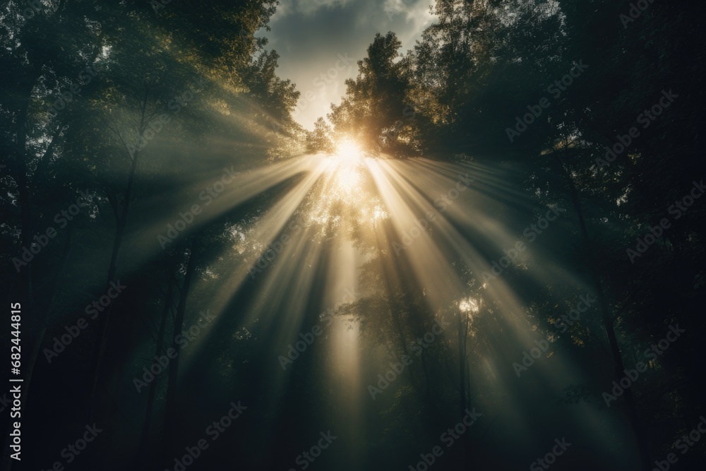 Poster a captivating image of sunlight filtering through the dense forest, creating a beautiful contrast be