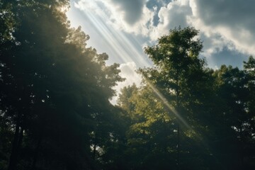 A captivating image of sunlight breaking through the clouds and illuminating the trees. Perfect for nature and landscape themes