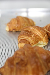 Baking croissants in a small bakery