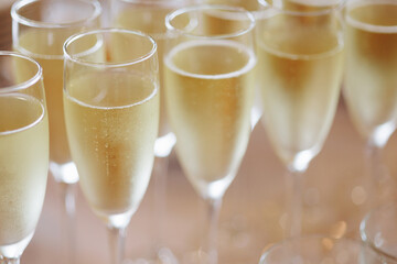 Several glasses of sparkling champagne on a white tablecloth. Celebration or buffet concept. Blurring the bottom of a photo with copy space.