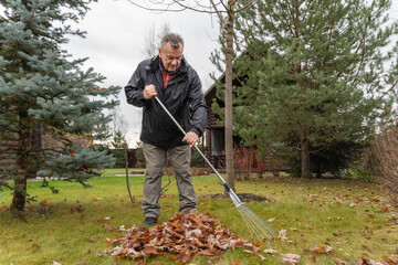 A man in outdoor wear is raking a pile of fallen leaves on a lawn. He is focused on his task,...