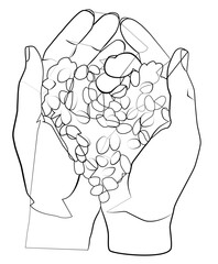 Coffee. One line. Hands with coffee beans.