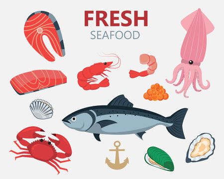 Seafood. Fresh sea fish tuna, red bass, mackerel, salmon steak. Banner with seafood of shrimp, scallops, oysters, squid, crab, lobster, octopus and caviar. Sea fishes vector illustration
