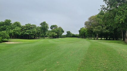 Green golf course and blue sky