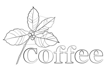 Coffee line. Template for printing, postcards, menus, posters. Sketch, linear drawing.