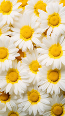 A pattern of bright yellow daisies on a white canvas