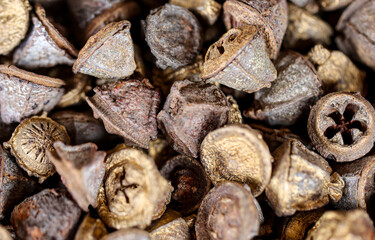 Viele leere Samenschalen, Fruchth&uuml;llen. 