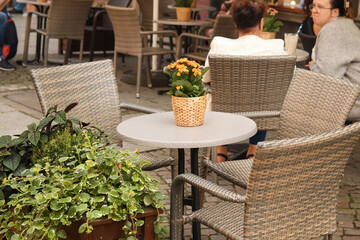 Rattan furniture. Outdoor empty coffee and restaurant terrace with potted plants tables and chairs...
