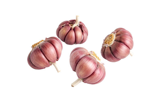 Garlic head detail isolated on white background PNG