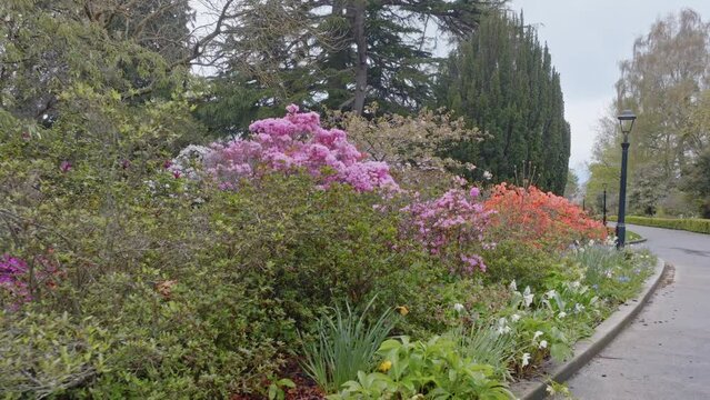 Aerial: flower beds in the Oamaru Public Gardens in the South Island, New Zealand
