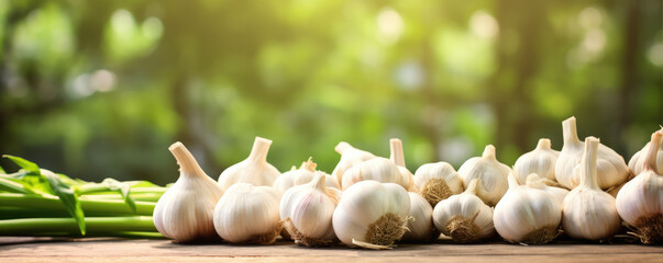 More garlics bulbs on wooden table against green background. White garlic heads on board. - obrazy, fototapety, plakaty