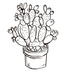 Linear drawing cactus minimalistic outline design postcard, packaging, creating seamless pattern with tropical plants. Cute hand drawn modern print clipart icon symbol floristry shop funny cacti