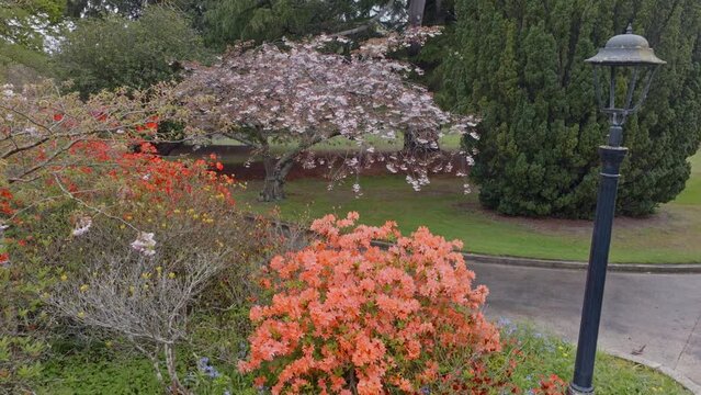 Aerial: flower beds in the Oamaru Public Gardens in the South Island, New Zealand
