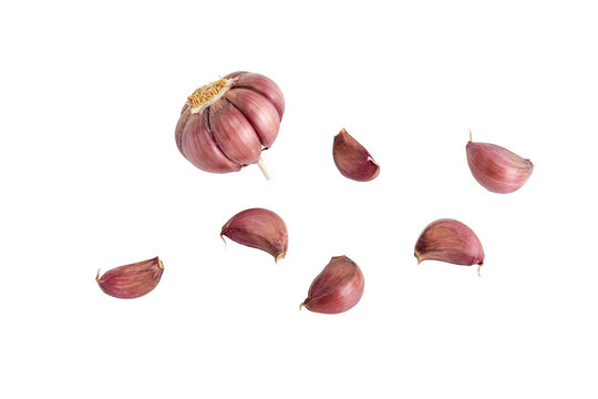 Uma cole&ccedil;&atilde;o de dentes de alho e uma cabe&ccedil;a de alho isolados em um fundo plano. png