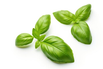 Obraz premium Basil leaves isolated on white background. Ai Generative