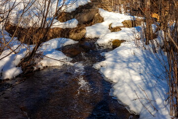 Spring landscape with a fast river and trees