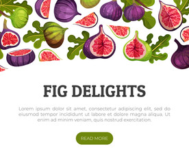Fig Fruit Banner Design with Green Leaf Vector Template