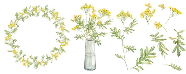 Watercolor common tansy. Set of yellow field flowers and wreath. Bouquet with glass vase. Hand drawn illustration isolated on white background. Bundle botanical medicinal wildflowers clipart. Elements - obrazy, fototapety, plakaty