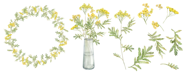 Fotobehang Watercolor common tansy. Set of yellow field flowers and wreath. Bouquet with glass vase. Hand drawn illustration isolated on white background. Bundle botanical medicinal wildflowers clipart. Elements © Ekatmart