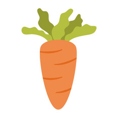 carrot illustration