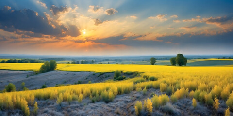 Landscape of Ukrainian yellow fields and blue sky like the flag of Ukraine in nature