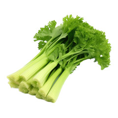 a bunch of celery in a 3/4 top view, PNG, in a Healthy vegetable snack, isolated, and transparent photorealistic illustration. Generative ai