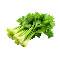 a bunch of celery in a 3/4 top view, PNG, in a Healthy vegetable snack, isolated, and transparent photorealistic illustration. Generative ai