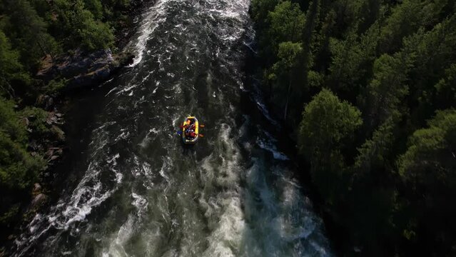 the drone flies over a stormy mountain river that flows in the middle of a dense taiga forest rafting team rafts on the waves tossing the boat 4k high quality footage Umba Kola peninsula waterfall 
