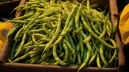 Cartons of freshly picked green and yellow string beans at a local outdoor market