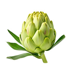 Fototapeta premium an Artichoke in a 3/4 view in an isolated and transparent PNG in a Food-themed, photorealistic illustration. Generative ai