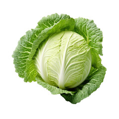 Obraz premium Green cabbage from a top view in an isolated and transparent PNG in a Vegetable-themed, photorealistic illustration. Generative ai