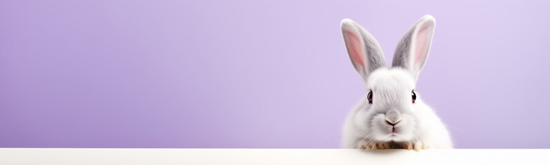 Obraz na płótnie Canvas Cute Easter Bunny Pet Rabbit With Copy Space For Easter Background, Isolated White Bunny Background, Pastel Colors, Easter Celebration