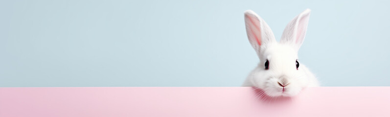 Cute Easter Bunny Pet Rabbit With Copy Space For Easter Background, Isolated White Bunny Background, Pastel Colors, Easter Celebration