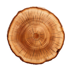 a round slab of wood in a top view,  isolated and transparent PNG in a Woodworking-themed, photorealistic illustration. Generative ai