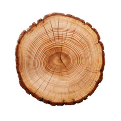 a round slab of wood in a top view,  isolated and transparent PNG in a Woodworking-themed, photorealistic illustration. Generative ai