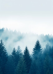 Beautiful cold winter landscape, tall trees in the forest covered with snow, fog and whiteness. A cold gloomy winter day.