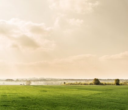 Street, Urban, City, Photography, Landscape, Bokeh, Detail, Deep, Travel, Business, Product, Shutterstock