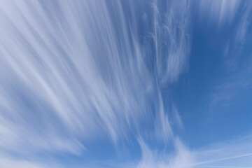 Fototapeta premium beautiful long cirrus clouds in the sky