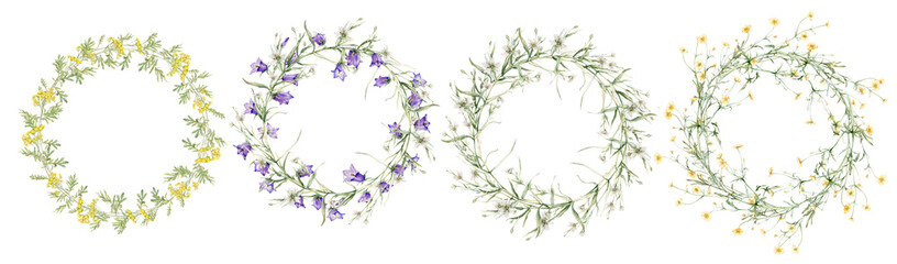 Set of meadow flowers wreath of yellow buttercup and common tansy. Clipart violet blue bellflower and white stellaria holostea. Watercolor hand drawing illustration on isolate white background