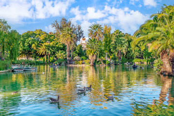 Waterfowl on a pond in the Ciutadella park in Barcelona on a sunny autumn day, Spain. People ride...