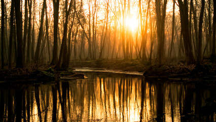 Sunset on the river in the spring forest. Beautiful nature background