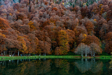 Fall Colors, Lac de Bethmale, Ariège