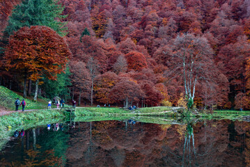 Fall Colors, Lac de Bethmale, Ariège