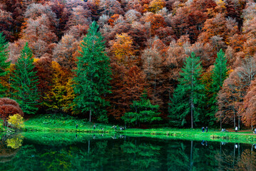Fall Colors, Lac de Bethmale, Ariège