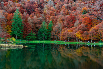 Fall Colors, Lac de Bethmale, Ariège