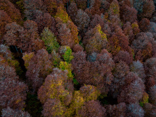 Fall Colors, Lac de Bethmale, Ariège