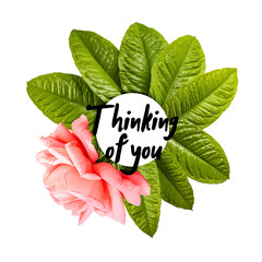Thinking of you - a green leaf limon.