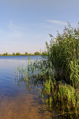 lake in sunny summer weather